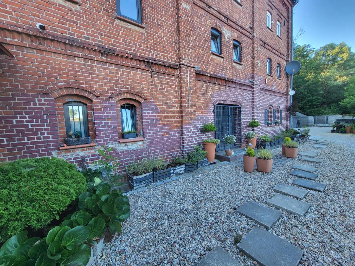 Krzywa Apartamenty Lidzbark Warmiński Eksteriør billede